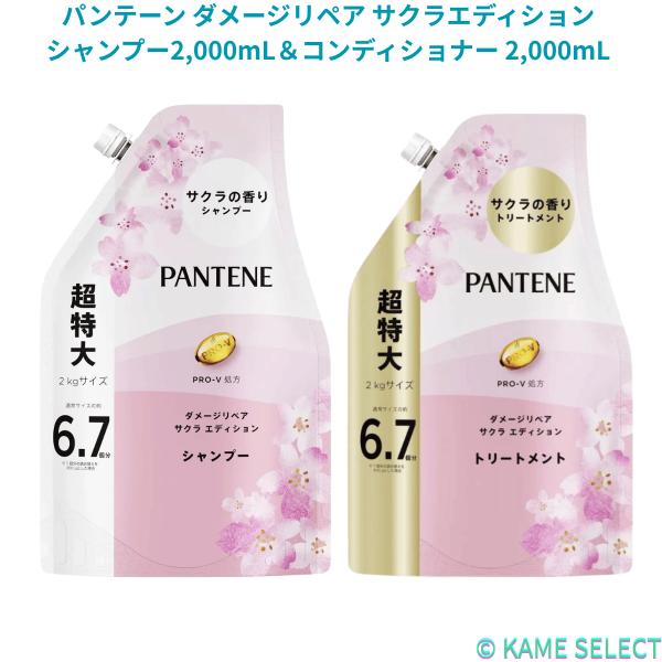 パンテーン 【数量限定】【お得なセット】パンテーン ダメージリペア