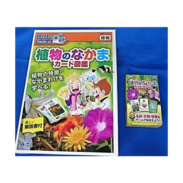植物のなかま カード図鑑 At kba001 紙 文具 ひかりyahoo 店 通販 Yahoo ショッピング
