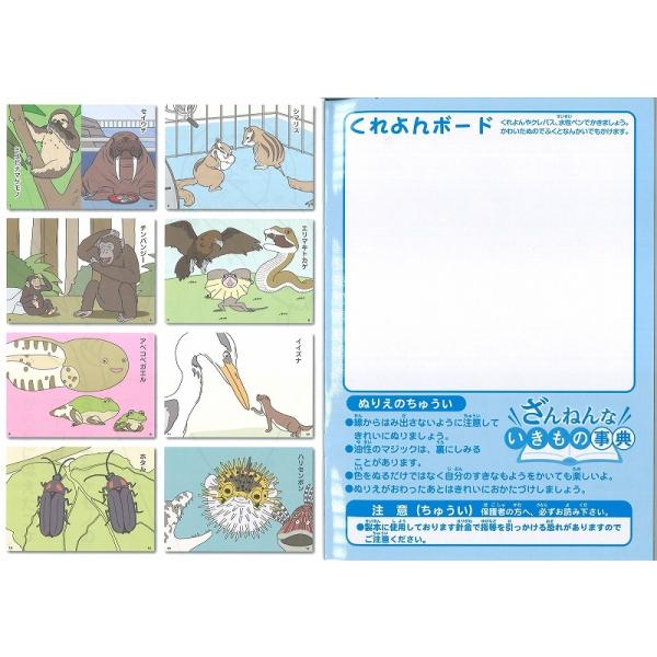 ざんねんないきもの事典ぬりえ生き物 動物 魚 鳥 図鑑塗り絵 Ty Buyee Buyee Japanese Proxy Service Buy From Japan Bot Online