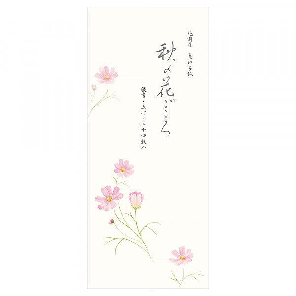 HWiԂjNBЁiGkr[ЁjMⳁiꌾ/^[ⳁjiNB-5817118j