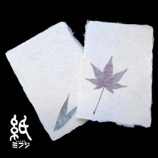 手製手漉き和紙の携帯護符✨3枚 和紙 美濃和紙 手漉き 和紙ハガキ 紅葉入り 笹入り 5枚入り : 紙