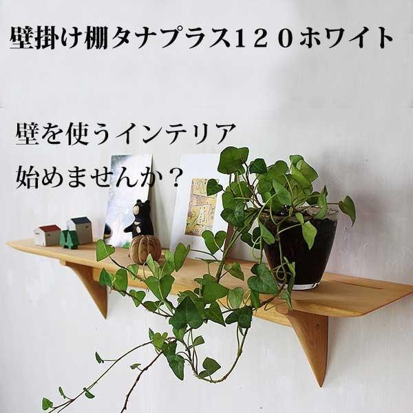 Ǌ| CeA ^ivX120zCg ȕǊ| I  Vz ݂S