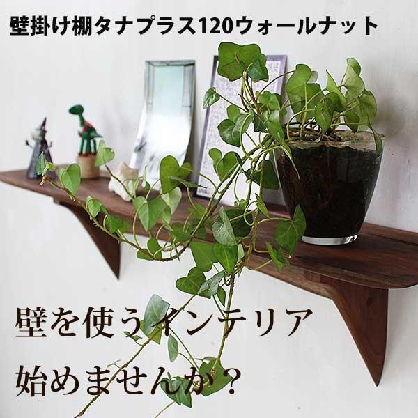 Ǌ|  I ΍p{[hǂnj ^ivX120EH[ibg ω׏dPOj  Vz ݈S