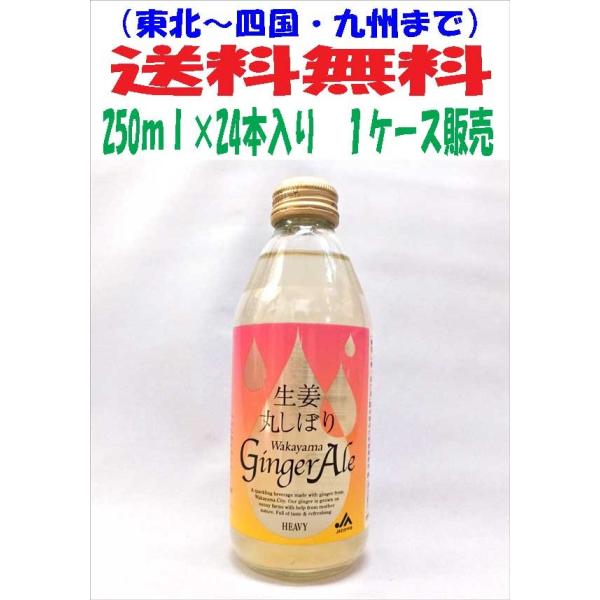 GINGER ALE 送料無料（北海道、沖縄県は除く）生姜丸しぼり わかやま