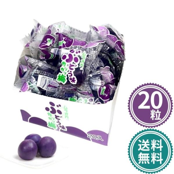 「商品情報」商品紹介ぶどう味のさっぱりしたカリカリ梅です。おやつや食後にデザート感覚でおたのしみいただけます。原材料・成分梅(中国)、漬け原材料(ぶどう糖果糖液糖、醸造酒、りんご酢、食塩)／酒精、酸味料、甘味料(アセスルファムK、スクラロー...