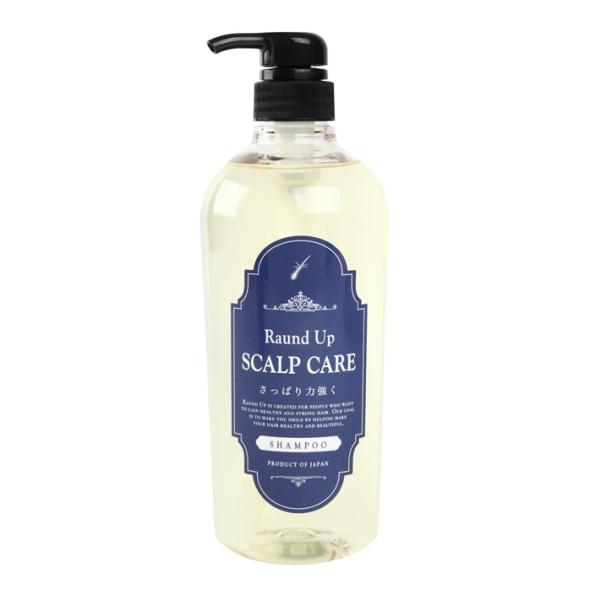 Raund Up ラウンドアップ さっぱりシャンプー 本体 800ml 美容室専売 スカルプ