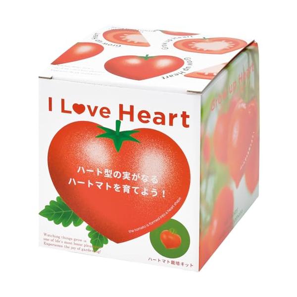 商品サイズ:約11.5*11.5*12.3cm商品重量:約240g素材:PP生産国:日本DIY・工具・ガーデン/ガーデン/種・苗/栽培キット