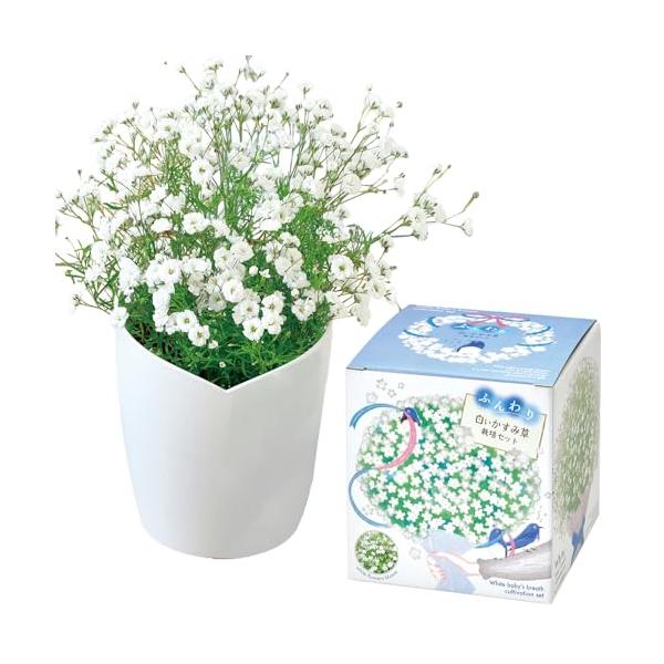 セット内容:ハートポット,インナーポット,鉢底シート,培養土,種,説明書商品サイズ:約11.5*11.5*12.3cm商品重量:約240g素材:ポリプロピレン生産国:日本DIY・工具・ガーデン/ガーデン/種・苗/栽培キット