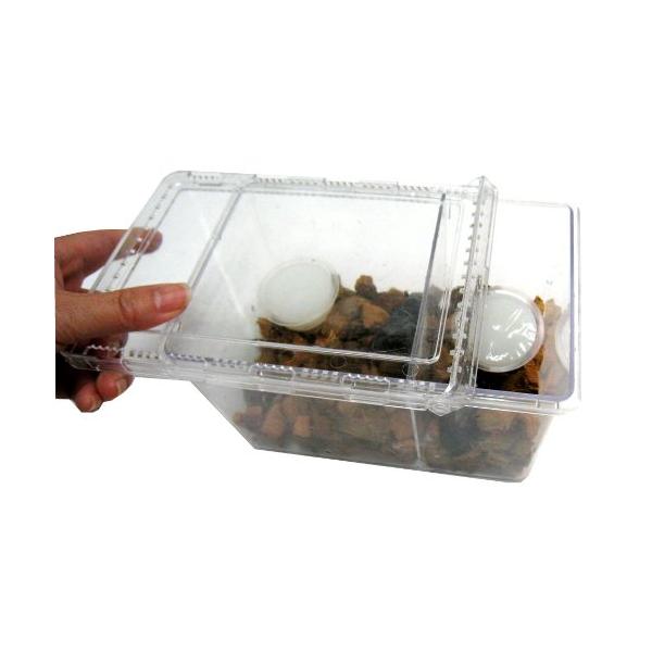 商品サイズ：W181*D124*H112mm　容量：1400ml 材質：スチロール樹脂製　※セパレータ 仕切り板 が標準装備されているので**ペアでの飼育・管理に最適  取り外し可 *0.2mmの通気口が98箇所もあり、通気性バツグン*コバ...