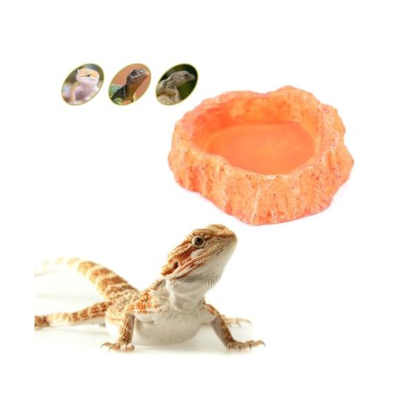 厚みのあるロックボウルデザイン：トカゲや小型爬虫類が飲食しやすい環境を提供し、安定感に優れた素材でペットの快適な給餌をサポートします。滑り止め表面構造：爬虫類が容易に登り降りできる滑らかな凹凸のある設計で、ペットがに利用できる給餌ボウルです...