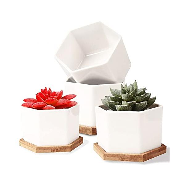 FaceColor 多肉植物鉢 陶器鉢 プランター サボテン鉢 六角形 サイズ 9
