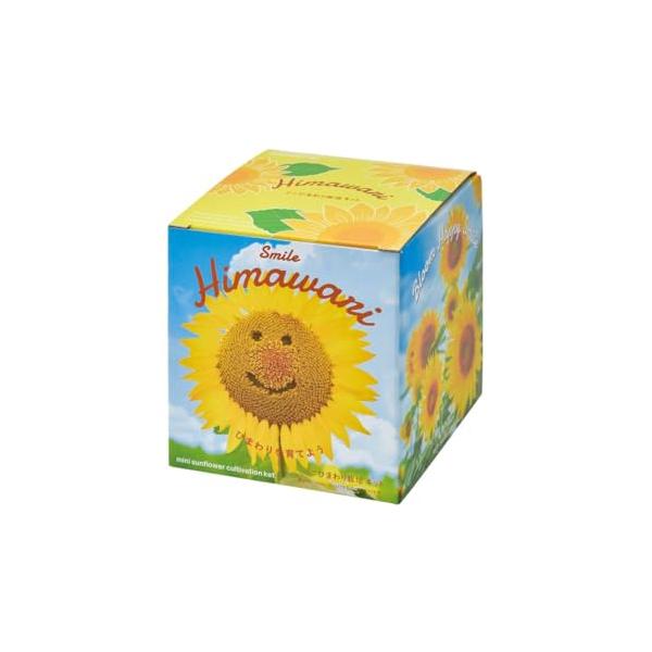 室温が15*以上などの栽培条件が整っていれば春*秋まで開花を楽しむことができます。/植物の色・形・サイズには個体差がありますので予めご了承ください。DIY・工具・ガーデン/ガーデン/種・苗/栽培キット