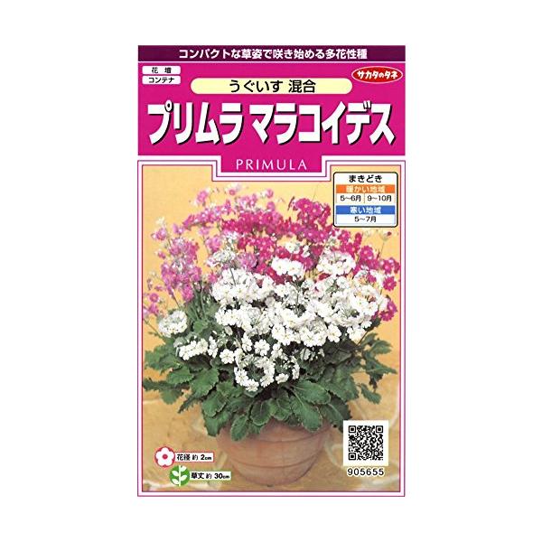 詰量:0.05ml発芽率:70%採苗本数:150まきどき:春・秋DIY・工具・ガーデン:ガーデン:種・苗:種:花