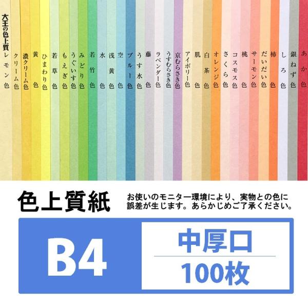 F㎿  B4 100 J[y[p[