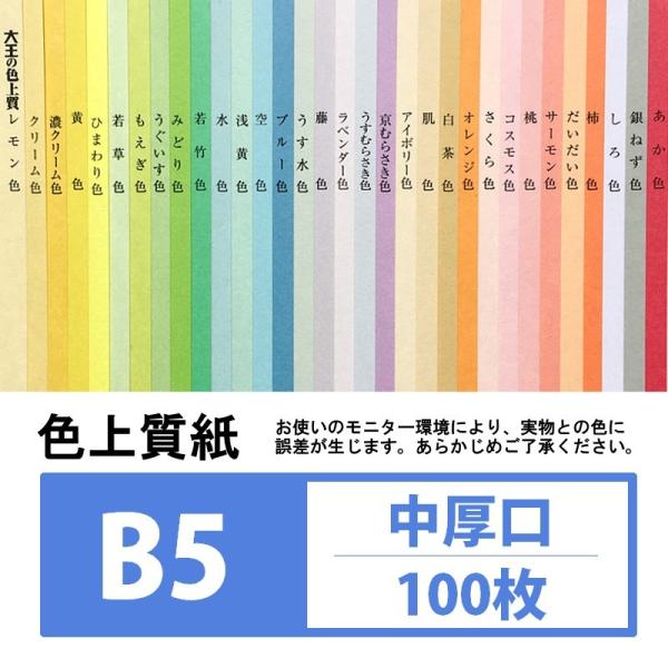 F㎿  B5 100 J[y[p[