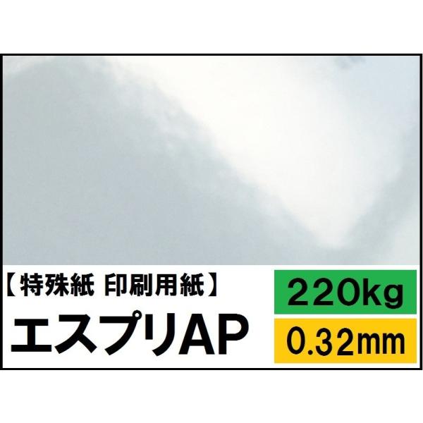 GXvAP 220kg(0.32mm)4TCY(A4 A3 B4 B5) (p)