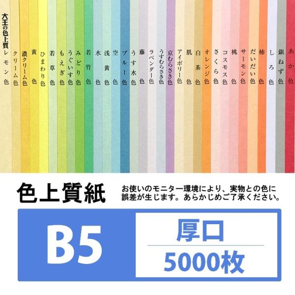 F㎿  B5 5000 J[y[p[