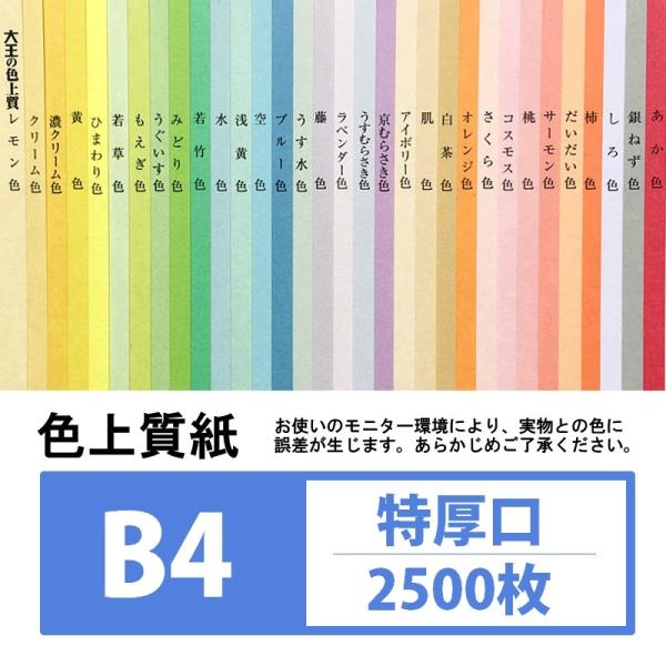 F㎿  B4 2500 J[p
