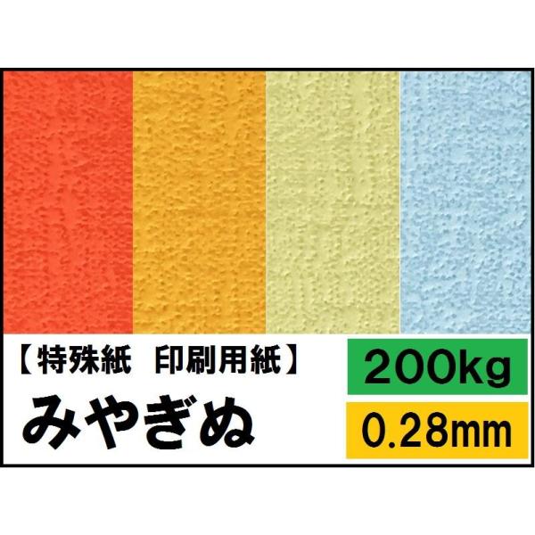 ݂€ 200kg(0.28mm) Iׂ17F 4TCY(A3 A4 B4 B5) (J[p)