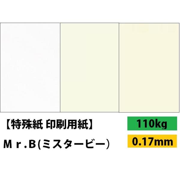 Mr.B 110kg(0.17mm) Iׂ3F 4TCY(A3 A4 B4 B5) (t@V[y[p[)