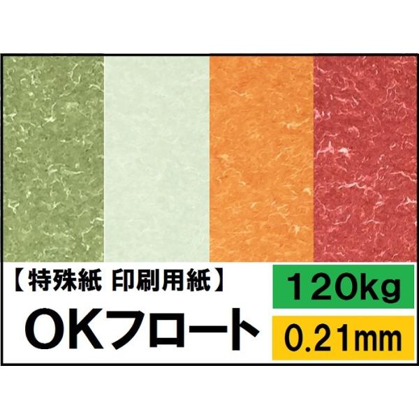 njt[g 120kg(0.21mm) Iׂ5F 4TCY(A3 A4 B4 B5) (t@V[y[p[)