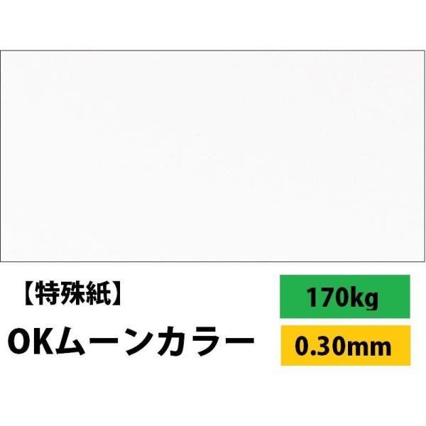 OK[J[@zCg 170kg(0.30mm) Iׂ4TCY(A3 A4 B4 B5) (t@V[y[p[)