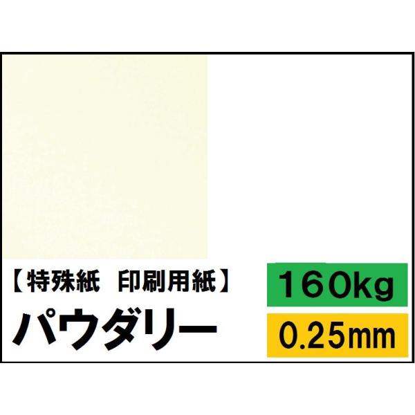 pE_[ 160kg(0.25mm) IׂS2F Iׂ4TCY(A3 A4 B4 B5) ꎆ t@V[y[p[ p