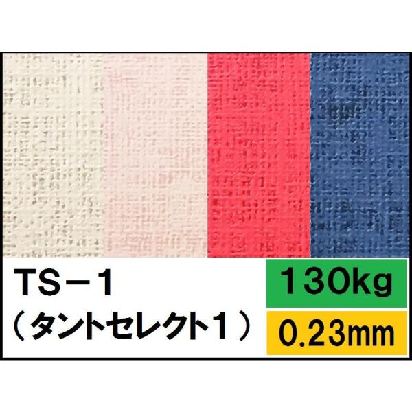 TS-1(^gZNg-1) 130kg(0.23mm) Iׂ6F 4TCY(A3 A4 B4 B5) (t@V[y[p[)