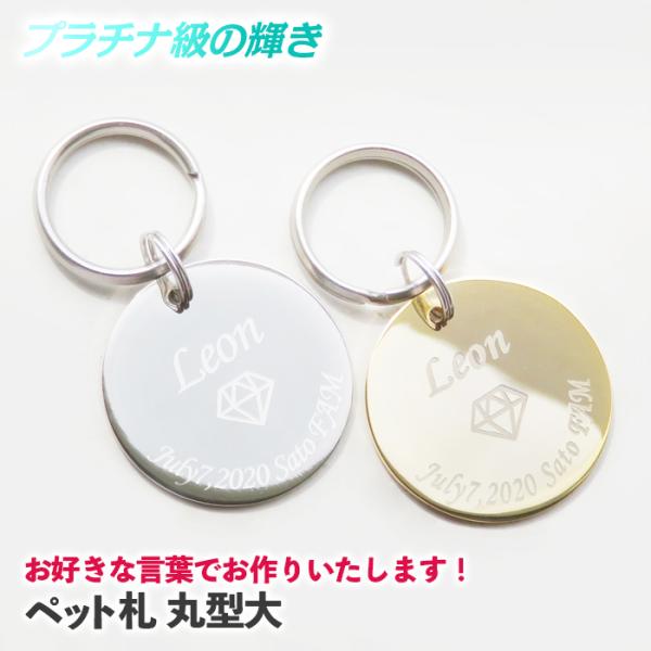 DȌtł肢܂I qD  L q h~ ی^ l[^O ybg^O hbO^O ߑOő SǐՃ[ xƓ