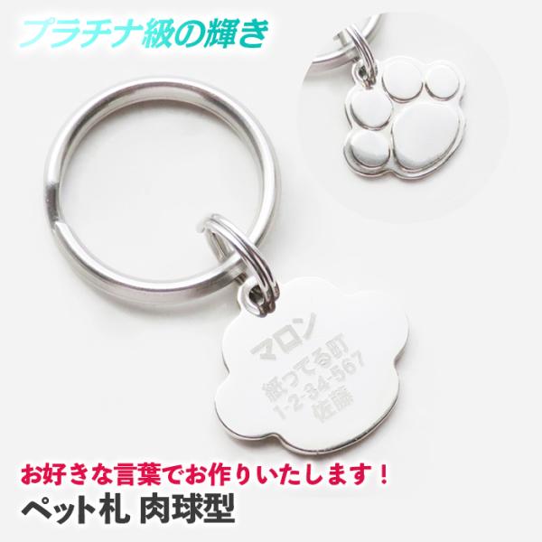 DȌtł肢܂I qD  L q h~ ^ l[^O ybg^O hbO^O ߑOő SǐՃ[ xƓ