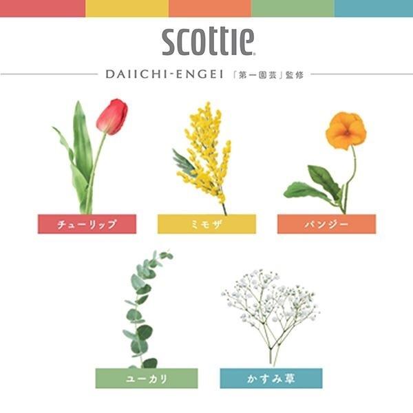 日本製紙クレシア スコッティ Scottie ティッシュペーパー フラワー