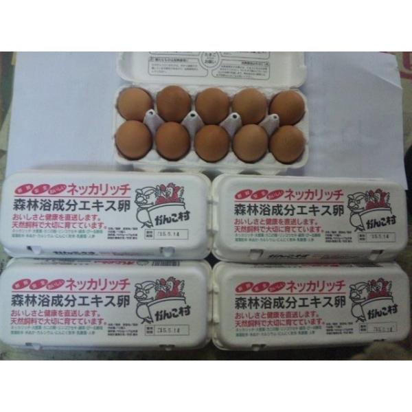 (Z)()()񂱑ԋʎqi1pbN10Rj×12pbN