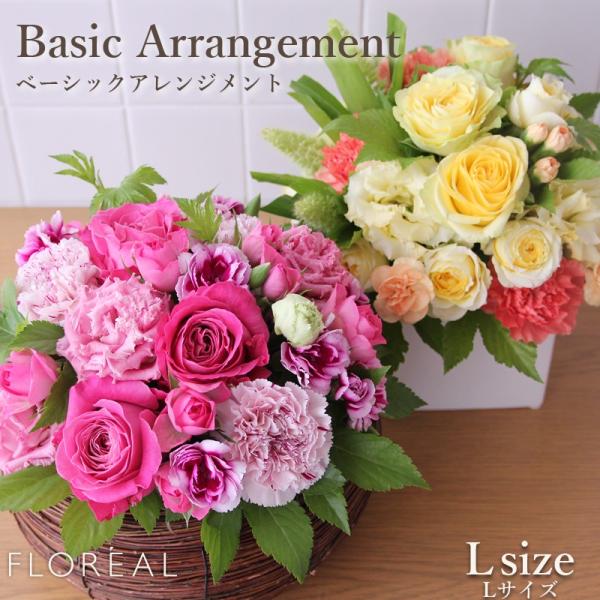  Mtg JXj tA x[VbN AWg LTCYiQEԂUF`Ij LO Dǔz  a  o v[g