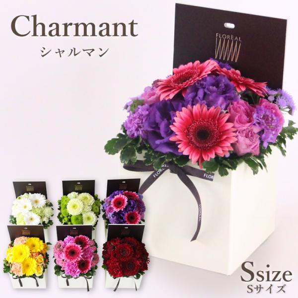 花 ギフト お見舞い フロレアル シャルマン S （６色から選択！）≪長持ちする上質な 生花≫  優良配送  誕生日 バラ  ボックス 爆買