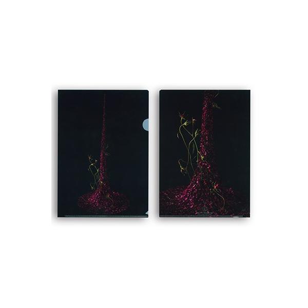 丹羽英之 Hideyuki Niwa フローラルアートクリアファイル「愛憎」3枚セット フラワーアーティスト デザイン 花 お花 装飾 装花 ジャパンカップ優勝 国際大会優勝