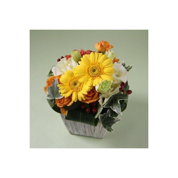 【フラアート花門のオリジナルアレンジメント】■サイズW18cm H18cm■商品内容 【フロレアル】の姉妹ブランド『フラアート花門』では、思わず笑顔がこぼれる、遊び心のある自由な花をお届けします。・ガーベラ・バラ・トルコキキョウ・ヒペリカム...