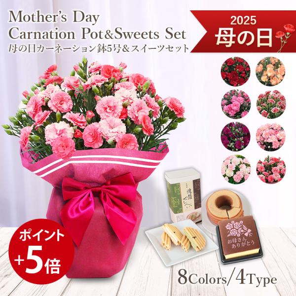 母の日 プレゼント 21 赤 ピンク 他 カーネーション 鉢植え 6色選択 カステラ 他 スイーツ セット 4種類選択 母の日ギフト 花 フラワー ギフト 花鉢 Buyee Buyee 일본 통신 판매 상품 옥션의 대리 입찰 대리 구매 서비스