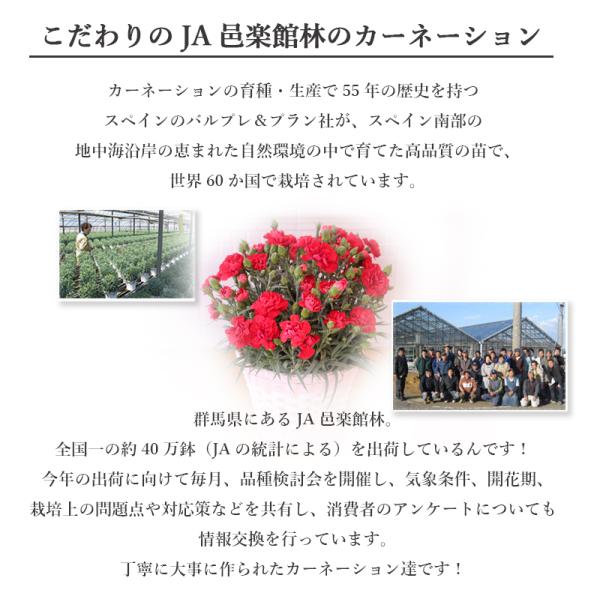 母の日 プレゼント 21 赤 ピンク 他 カーネーション 鉢植え 6色選択 カステラ 他 スイーツ セット 4種類選択 母の日ギフト 花 フラワー ギフト 花鉢 Buyee Buyee 提供一站式最全面最專業現地yahoo Japan拍賣代bid代拍代購服務 Bot Online