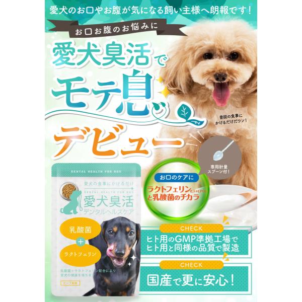 愛犬臭活 デンタルヘルスケア 15ｇ 犬 ペット ラクトフェリン サプリ 口 臭い 対策 サポート サプリメント おやつ 歯磨き 食事 乳酸菌 粉末タイプ スプーン付 Buyee Buyee 日本の通販商品 オークションの代理入札 代理購入