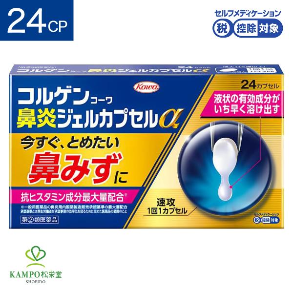 ※お一人様1点まで※●特徴1.今すぐ、とめたいツラい鼻みずに鼻みずを抑える抗ヒスタミン成分と鼻汁分泌抑制成分を最大量配合※。※一般用医薬品の鼻炎用内服薬製造販売承認基準の最大量配合承認基準とは厚生労働省が承認事務の効率化を図るために定めた医...