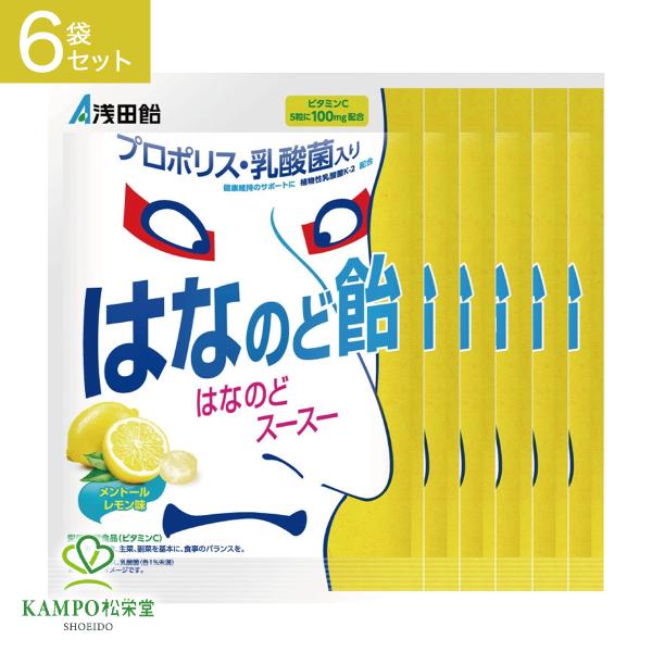 のど飴 のどあめ はなのど飴 浅田飴 60g 6袋 セット まとめ買い 栄養機能食品 ビタミンC レモン風味 プロポリス 強力メントール 爽快感 乾燥 咳 キャンディ