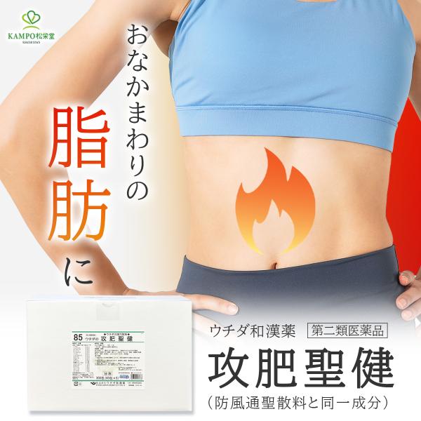 攻肥聖健 防風通聖散料 ダイエット 漢方 漢方薬 エキス 細粒 60包 20日分 便秘 便秘薬 肥満症 肥満 むくみ ぼうふうつうしょうさん ウチダ和漢薬 第2類医薬品