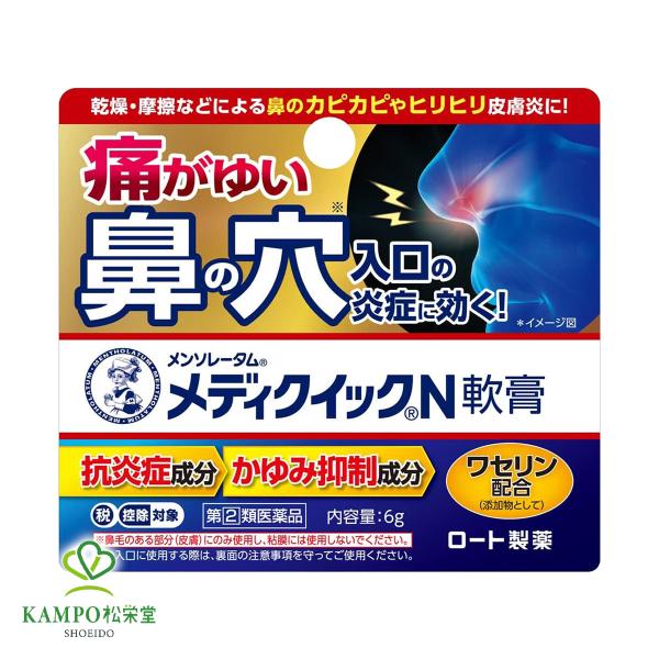 メンソレータム メディクイックN軟膏 6g 鼻 かゆみ 痒み ムズムズ 鼻まわり 鼻 穴 入口 乾燥 摩擦 カピカピ ヒリヒリ 皮膚炎 鼻前庭 市販薬 薬 指定第2類医薬品
