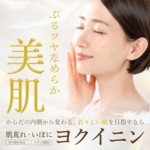 イボ 肌荒れ ヨクイニン 薬 漢方薬 エキス剤 細粒 粉 120包 40日分 分包 ニキビ 肌荒れ ニキビケア ターンオーバー促進 乾燥 シミ ウチダ和漢薬 第3類医薬品