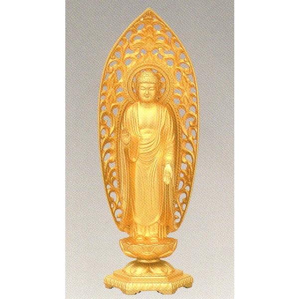 @߉ޔ@@@bL@15.7×5.5×s4.5cm@z11-3