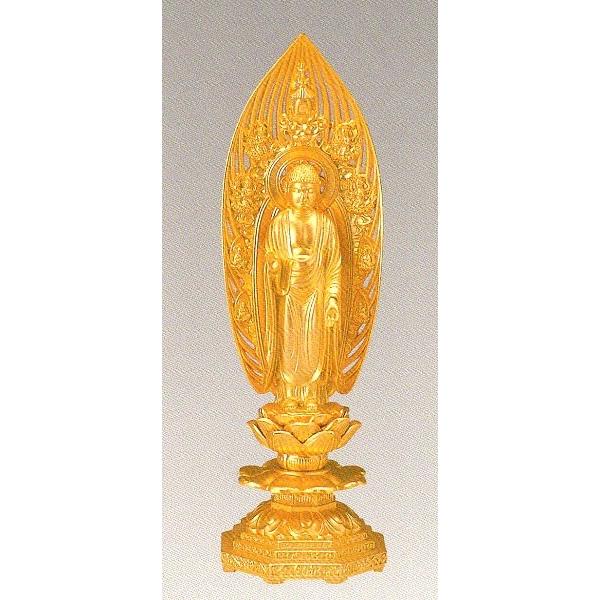 @ɔ@@@M`@bL@21.5×6.5×s6.5cm@z12-2