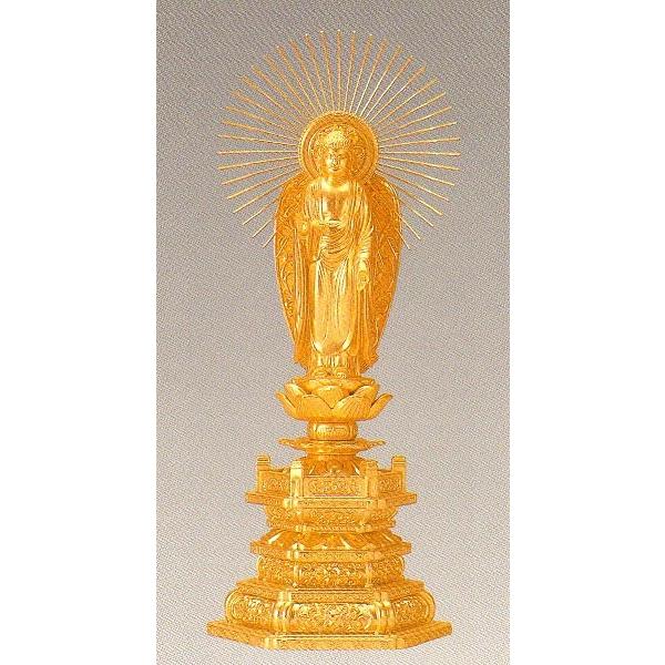 @ɔ@@䐼p@@bL@23.5×9.5×s6.5cm@z9-1