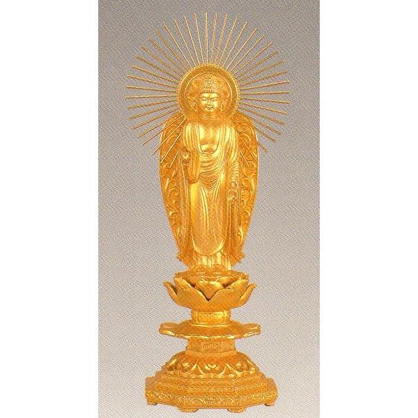 @ɔ@@䐼p@@bL@20.0×9.0×s6.5cm@z9-2