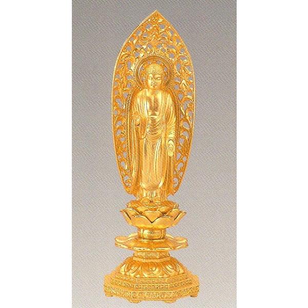 @߉ޔ@@@bL@19.5×6.5×s6.5cm@z11-2