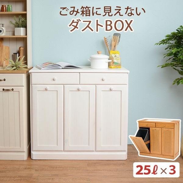 HAGiHARA（萩原） 分別ペールカウンター 3分別ダストボックス 25